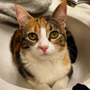 Meet your Posher, Kaylee